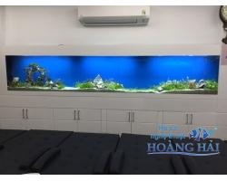 Hồ cá âm tường