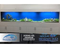 Hồ cá thủy sinh