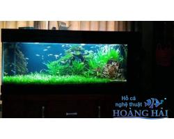 Hồ cá thủy sinh