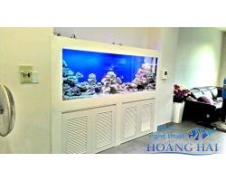 Hồ cá cảnh biển