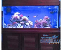Hồ cá cảnh biển