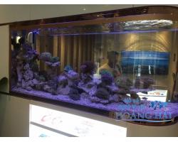 Hồ cá cảnh biển