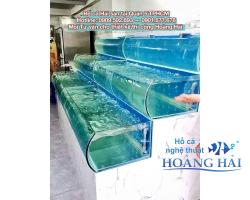 Hồ cá hải sản