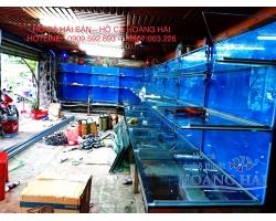 Hồ cá hải sản