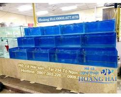 Hồ cá hải sản
