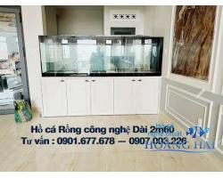 Hồ cá rồng