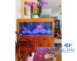 Hồ cá rồng