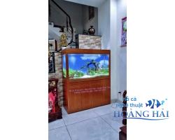 Hồ cá thủy sinh