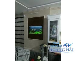 Hồ cá treo tường
