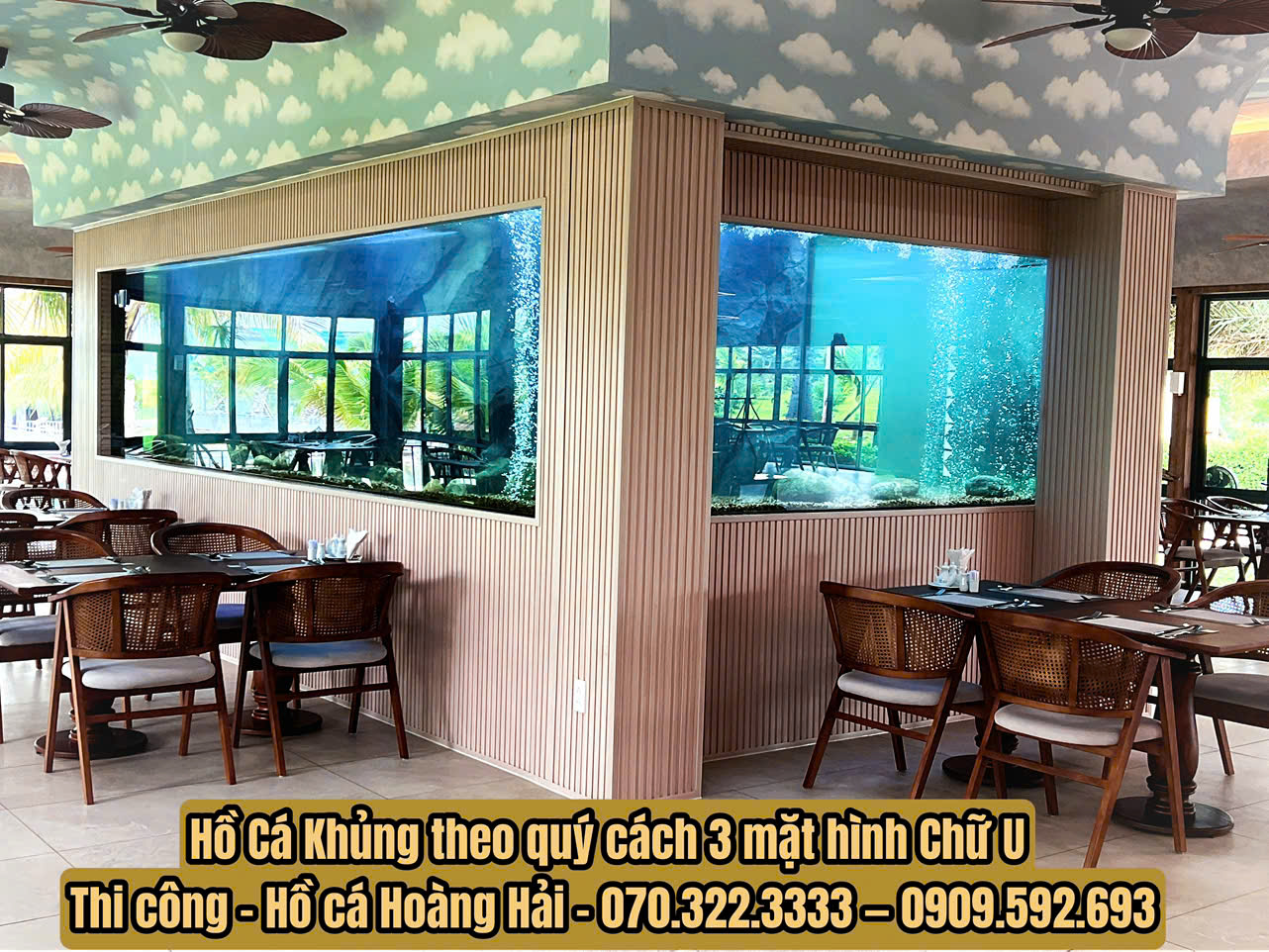Hồ cá thủy sinh