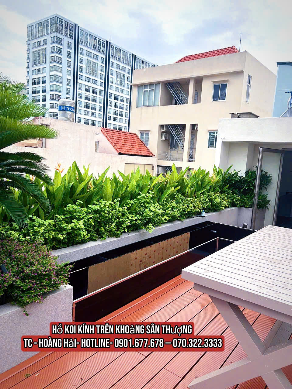 Hồ cá koi sân thượng