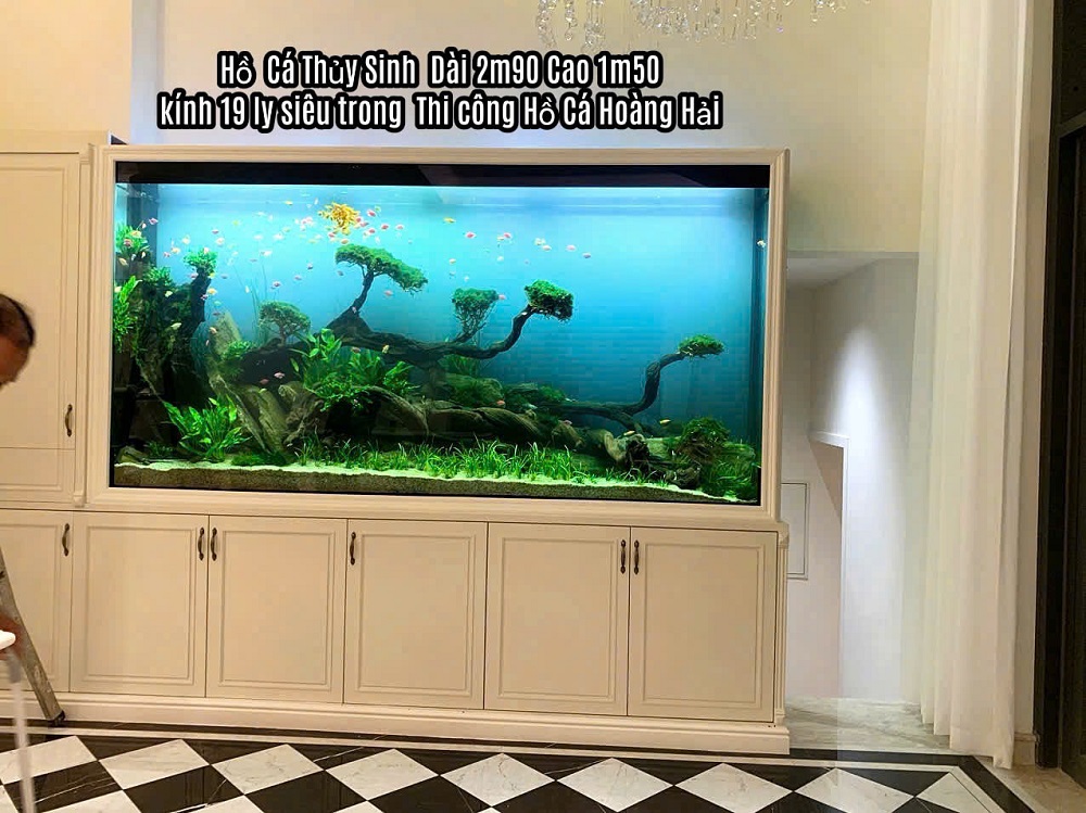 Hồ thủy sinh C16