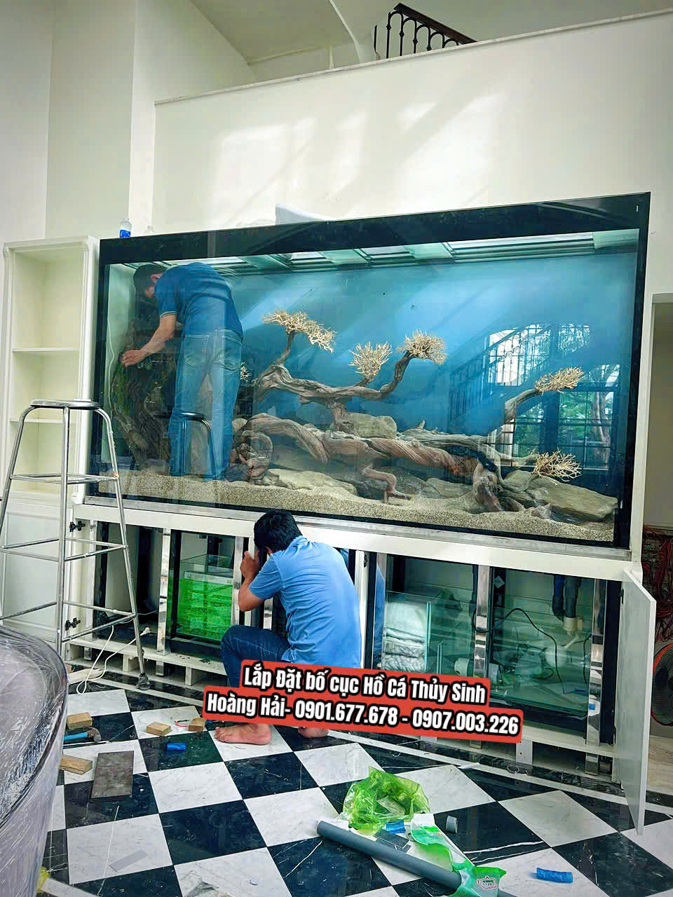 Hồ cá thủy sinh