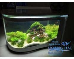 Hồ cá thủy sinh