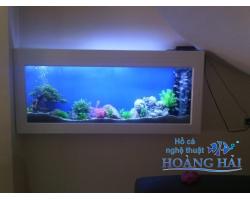 Hồ cá treo tường