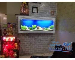 Hồ cá treo tường