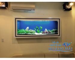 Hồ cá treo tường